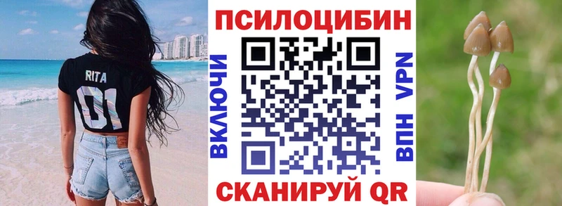 где продают   Оханск  Галлюциногенные грибы Magic Shrooms 